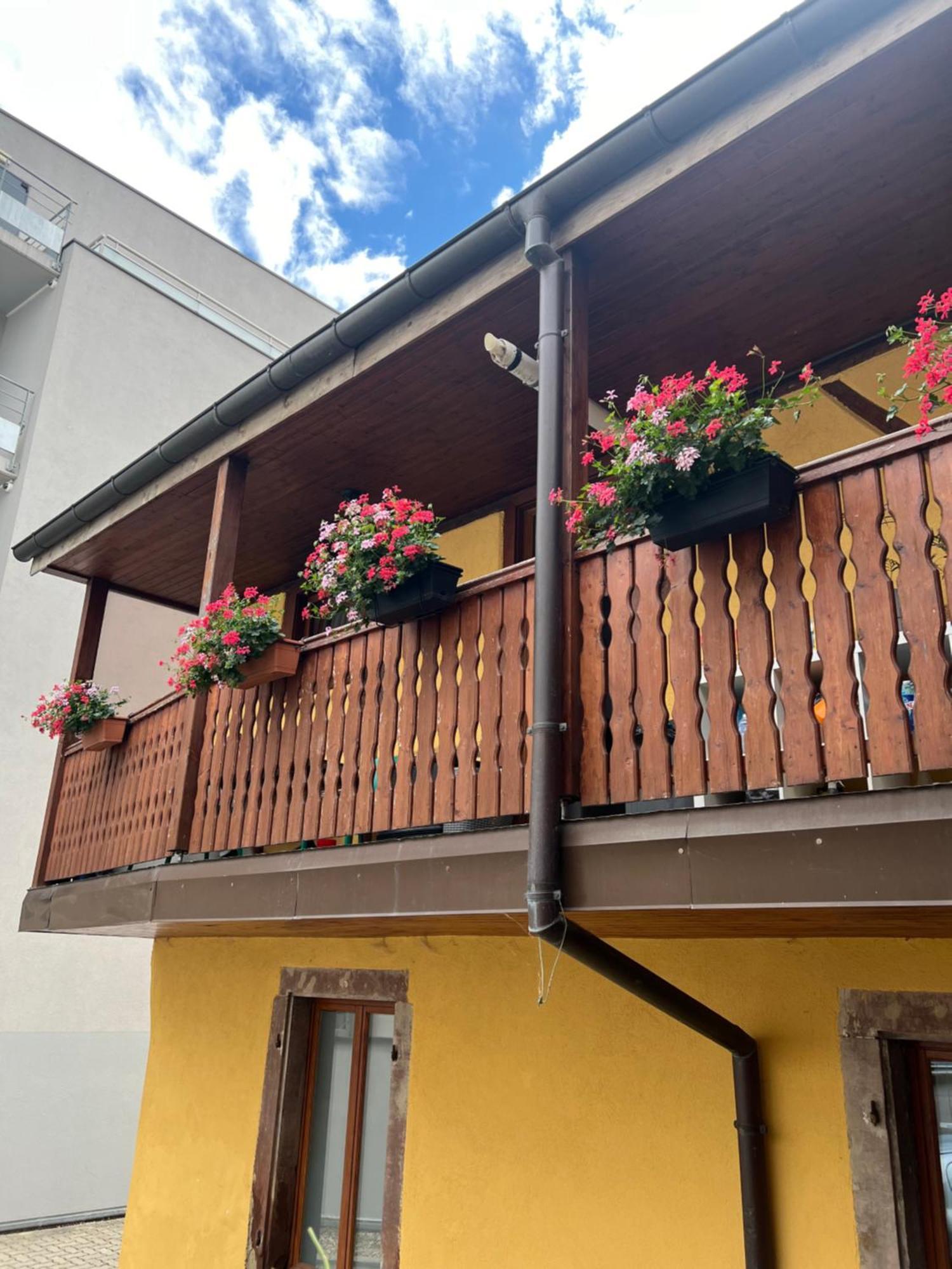 Colmar Charmant Logement Kültér fotó